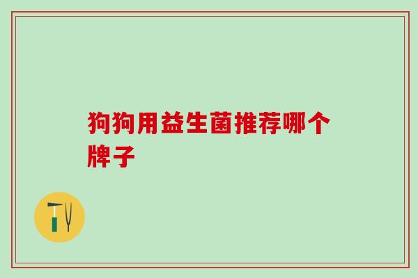 狗狗用益生菌推荐哪个牌子