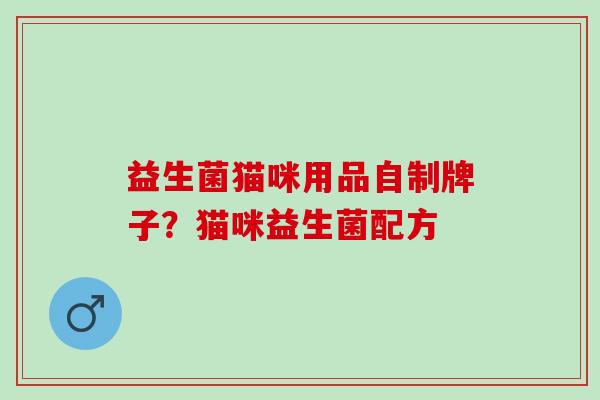 益生菌猫咪用品自制牌子？猫咪益生菌配方
