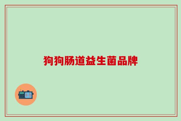 狗狗肠道益生菌品牌