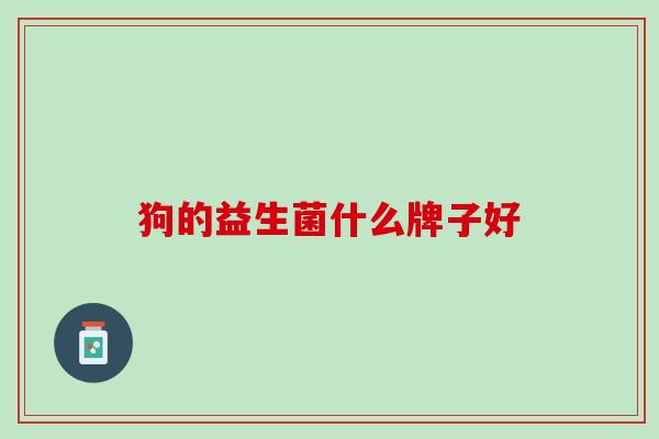 狗的益生菌什么牌子好