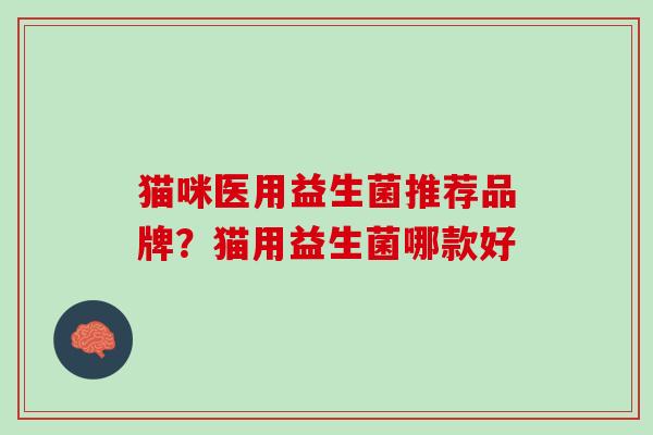 猫咪医用益生菌推荐品牌？猫用益生菌哪款好