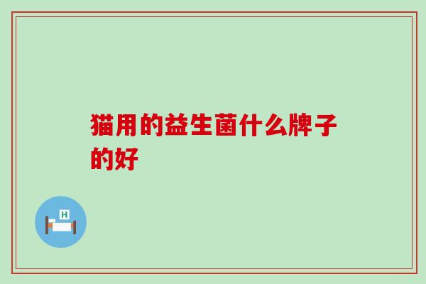 猫用的益生菌什么牌子的好