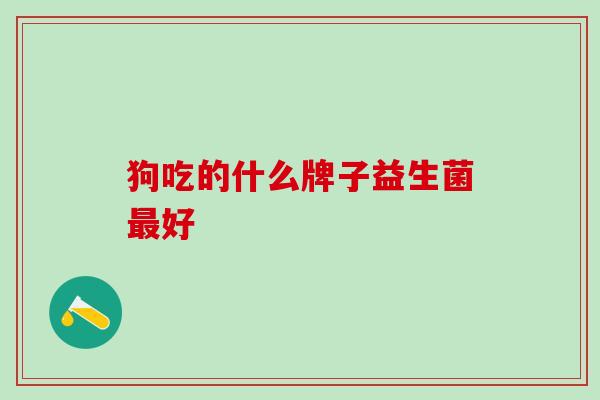 狗吃的什么牌子益生菌最好