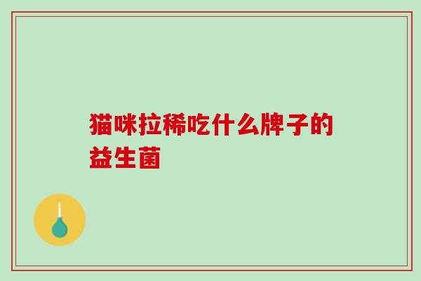 猫咪拉稀吃什么牌子的益生菌