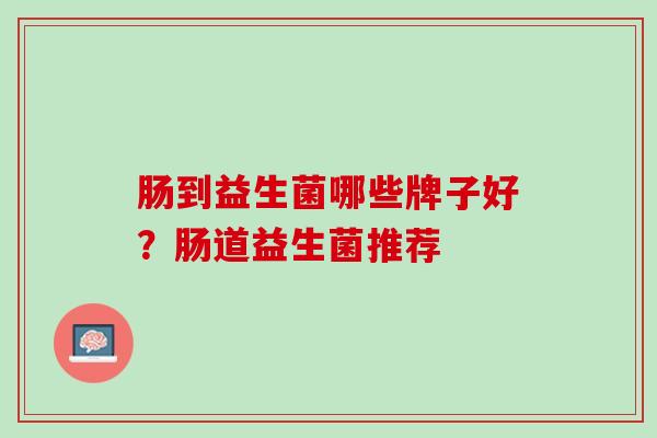 肠到益生菌哪些牌子好？肠道益生菌推荐