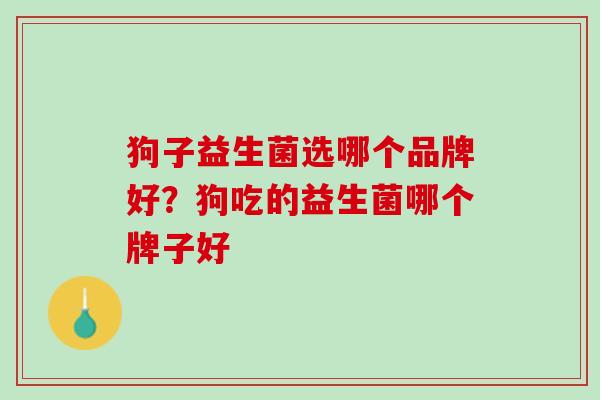 狗子益生菌选哪个品牌好?狗吃的益生菌哪个牌子好 狗子益生菌选哪个品牌好?狗吃的益生菌哪个牌子好