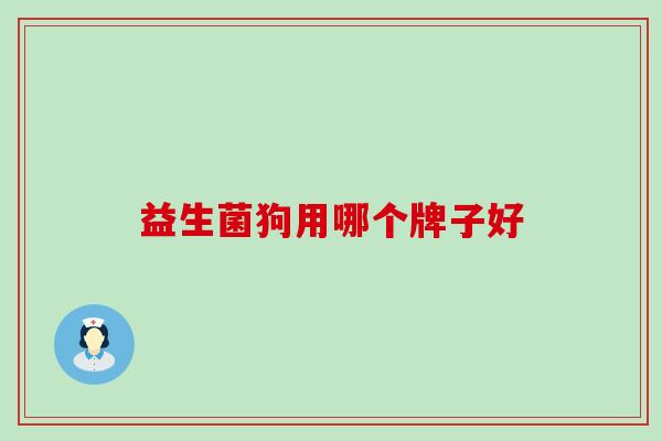 益生菌狗用哪个牌子好