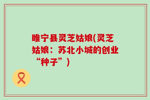 睢宁县灵芝姑娘(灵芝姑娘：苏北小城的创业“种子”)