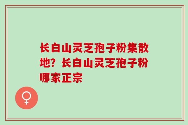 长白山灵芝孢子粉集散地？长白山灵芝孢子粉哪家正宗