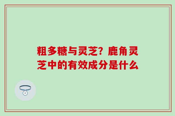 粗多糖与灵芝？鹿角灵芝中的有效成分是什么