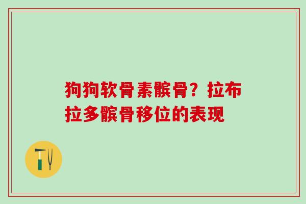 狗狗软骨素髌骨？拉布拉多髌骨移位的表现