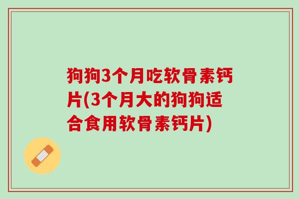 狗狗3个月吃软骨素钙片(3个月大的狗狗适合食用软骨素钙片)