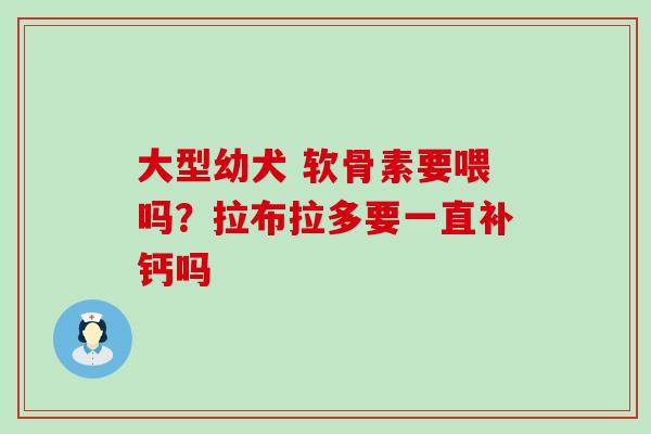 大型幼犬 软骨素要喂吗？拉布拉多要一直补钙吗