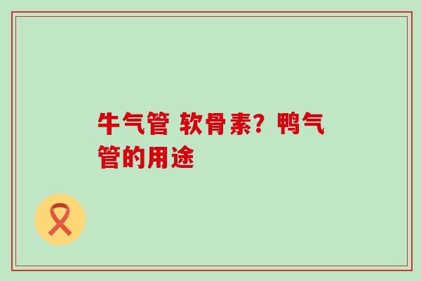 牛气管 软骨素？鸭气管的用途