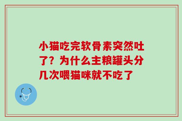 小猫吃完软骨素突然吐了？为什么主粮罐头分几次喂猫咪就不吃了