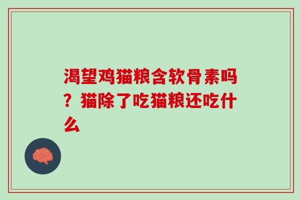 渴望鸡猫粮含软骨素吗？猫除了吃猫粮还吃什么