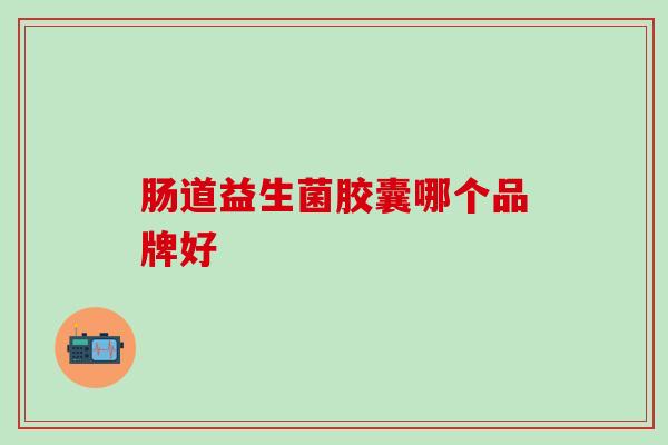 肠道益生菌胶囊哪个品牌好
