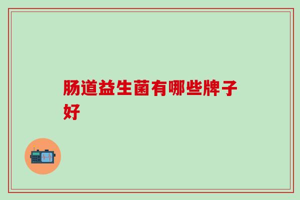 肠道益生菌有哪些牌子好