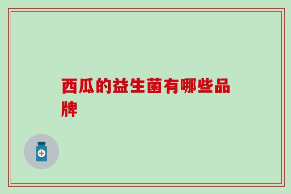 西瓜的益生菌有哪些品牌