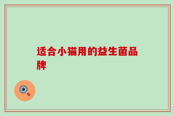 适合小猫用的益生菌品牌