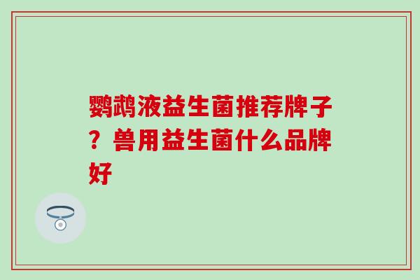 鹦鹉液益生菌推荐牌子？兽用益生菌什么品牌好