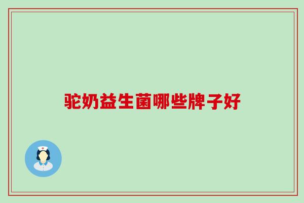 驼奶益生菌哪些牌子好