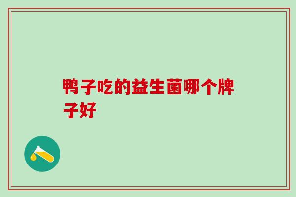 鸭子吃的益生菌哪个牌子好