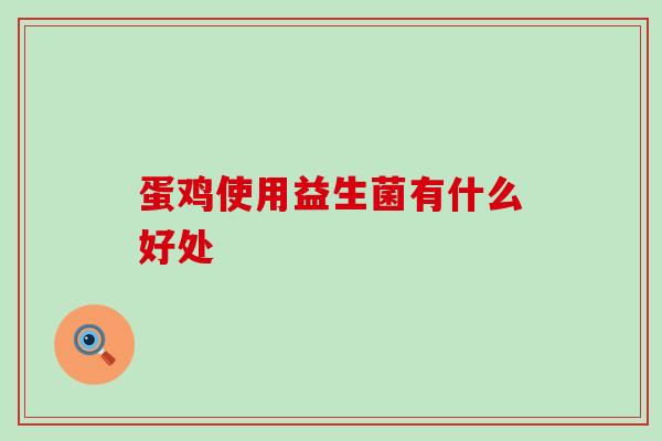 蛋鸡使用益生菌有什么好处