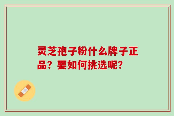 灵芝孢子粉什么牌子正品？要如何挑选呢？