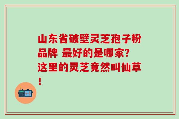 山东省破壁灵芝孢子粉品牌 最好的是哪家？这里的灵芝竟然叫仙草！