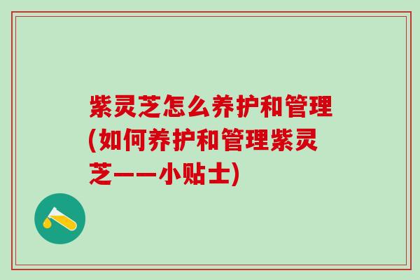 紫灵芝怎么养护和管理(如何养护和管理紫灵芝——小贴士)