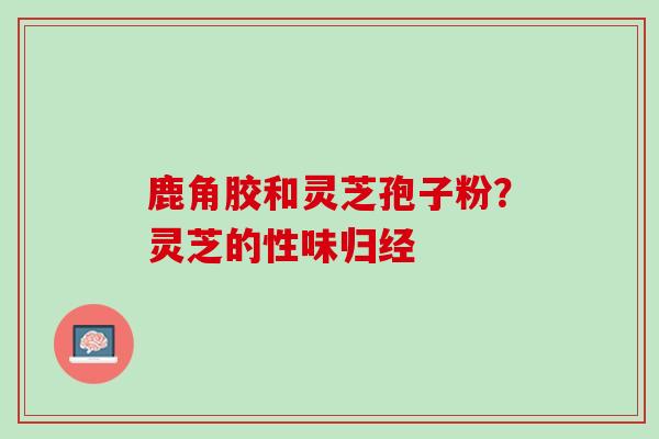 鹿角胶和灵芝孢子粉？灵芝的性味归经