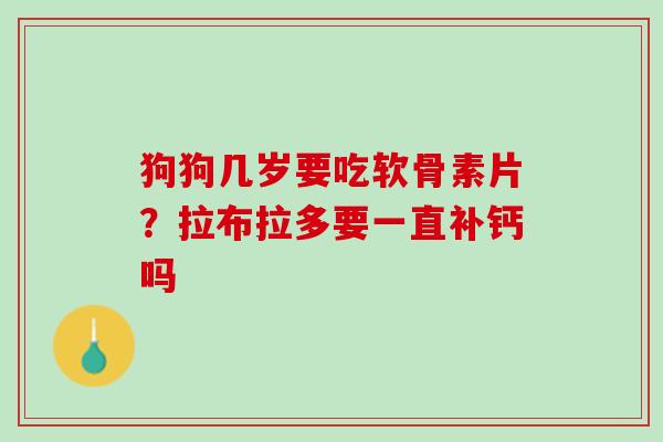 狗狗几岁要吃软骨素片？拉布拉多要一直补钙吗