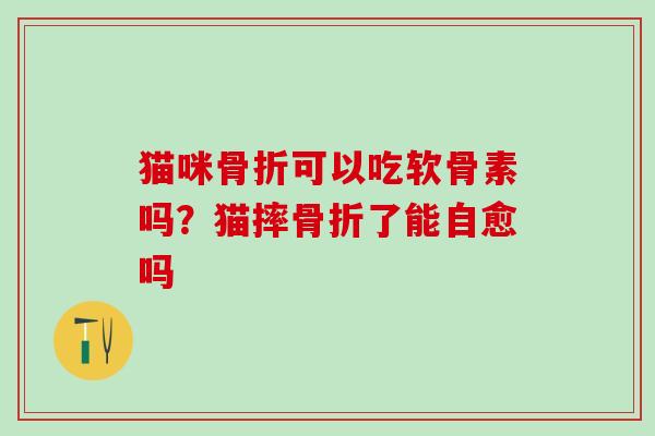 猫咪骨折可以吃软骨素吗？猫摔骨折了能自愈吗
