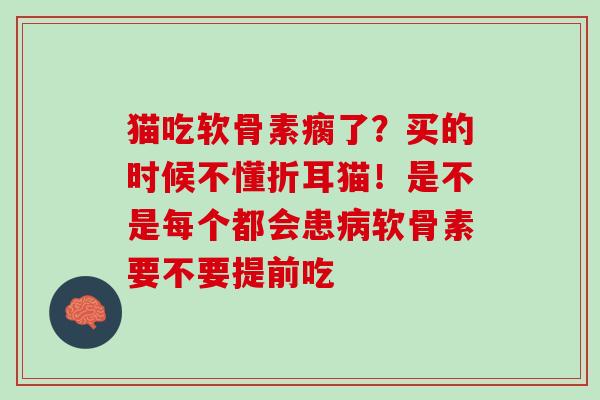 猫吃软骨素瘸了？买的时候不懂折耳猫！是不是每个都会患病软骨素要不要提前吃