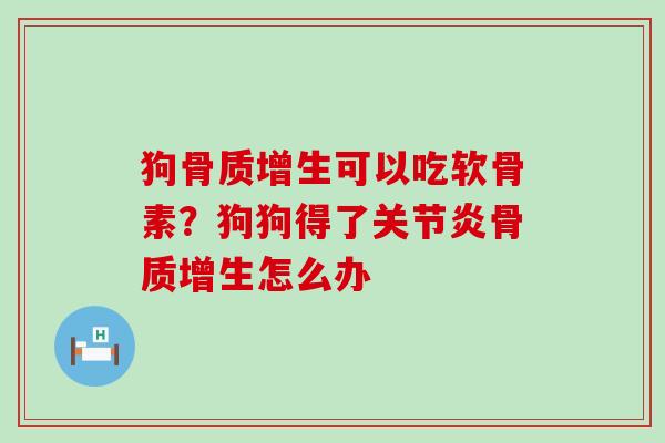 狗可以吃软骨素？狗狗得了怎么办