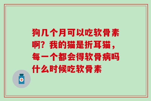 狗几个月可以吃软骨素啊？我的猫是折耳猫，每一个都会得软骨病吗什么时候吃软骨素