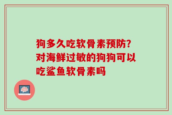 狗多久吃软骨素预防？对海鲜过敏的狗狗可以吃鲨鱼软骨素吗