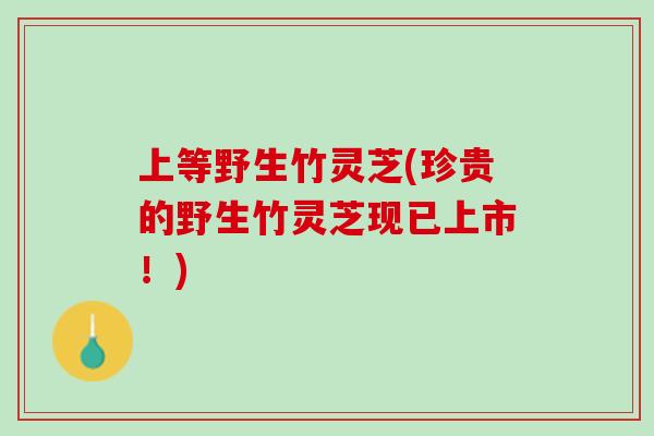 上等野生竹灵芝(珍贵的野生竹灵芝现已上市！)