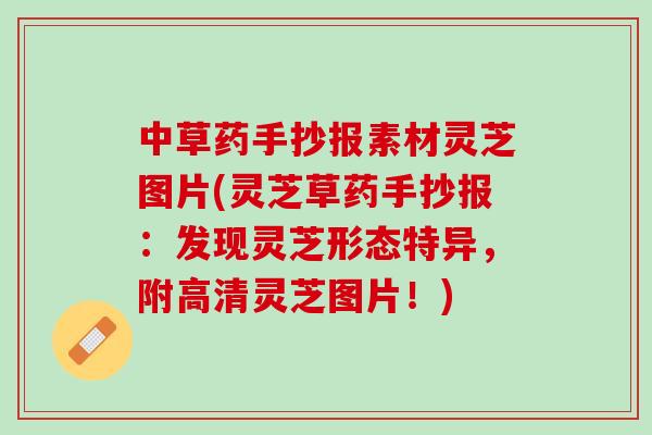 中草药手抄报素材灵芝图片(灵芝草药手抄报：发现灵芝形态特异，附高清灵芝图片！)