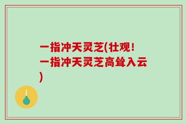 一指冲天灵芝(壮观！一指冲天灵芝高耸入云)