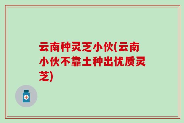 云南种灵芝小伙(云南小伙不靠土种出优质灵芝)