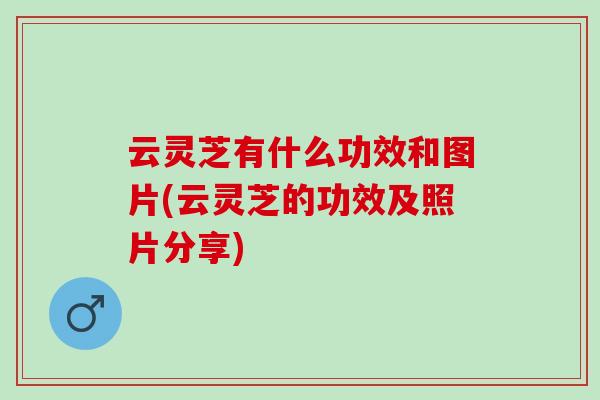 云灵芝有什么功效和图片(云灵芝的功效及照片分享)