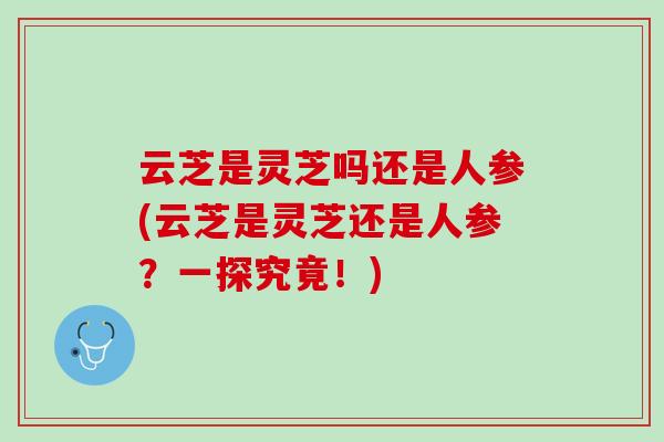 云芝是灵芝吗还是人参(云芝是灵芝还是人参？一探究竟！)