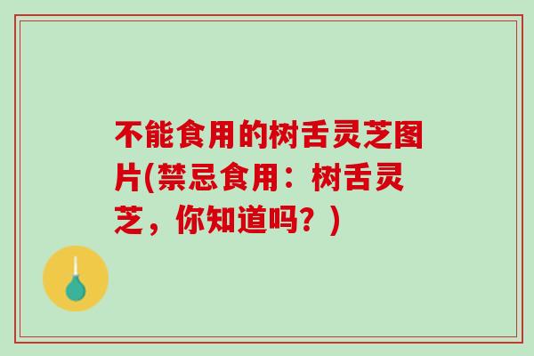 不能食用的树舌灵芝图片(禁忌食用：树舌灵芝，你知道吗？)