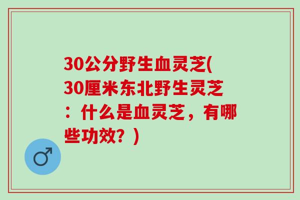 30公分野生血灵芝(30厘米东北野生灵芝：什么是血灵芝，有哪些功效？)