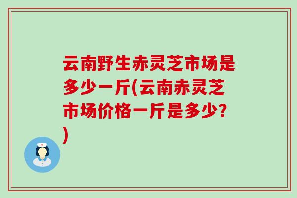 云南野生赤灵芝市场是多少一斤(云南赤灵芝市场价格一斤是多少？)