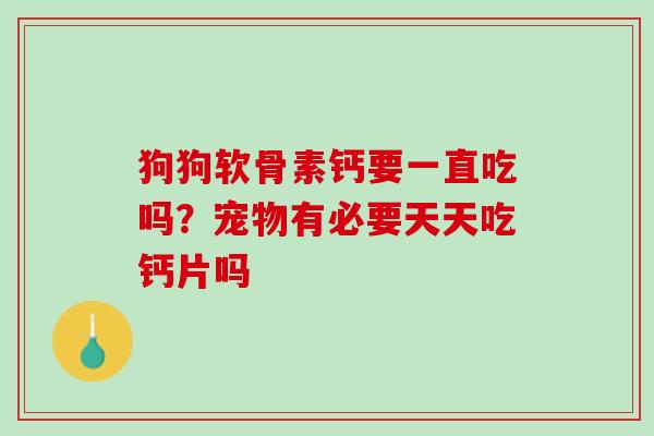 狗狗软骨素钙要一直吃吗？宠物有必要天天吃钙片吗