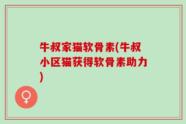 牛叔家猫软骨素(牛叔小区猫获得软骨素助力)
