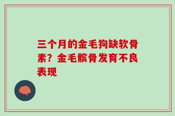 三个月的金毛狗缺软骨素？金毛髌骨发育不良表现